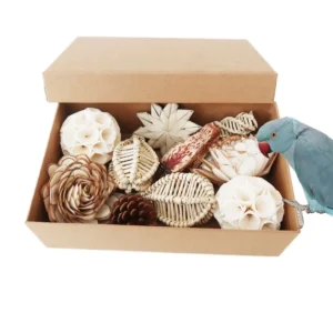 Interactive Eco Friendly Parrot Shredding Toy Box Natural Bird Foraging Sola Ball Toy