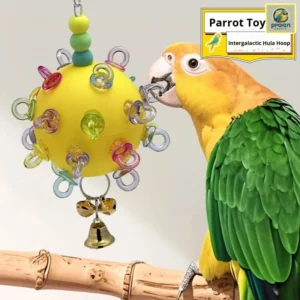Interactive Eco friendly Plastic Pet Bird Toy Boredom Relief Self Entertainment Chewing Venting Budgerigar Cockatiel Small Sun