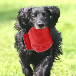 Interactive Tear Resistant Pet Dog Throwing Molars Interactive Training Bite Bag Toy