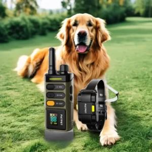 Ipetdog Electronic Bark Collar Rechargeable Dog Training Collar Remote Control Pet Training Supplies