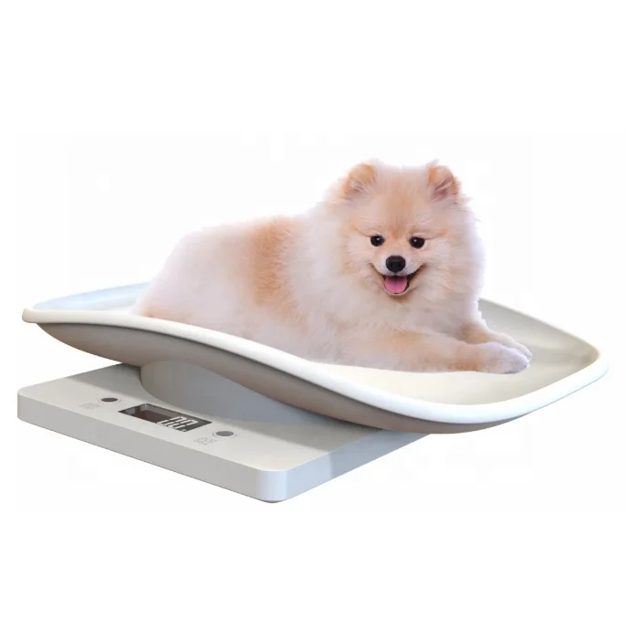 J&R Pet Supplies Digital 15KG/33LB Small Mini Animal Baby Dog Cat Puppy Kitten Weight Weighing Scale for Puppies Pet Weighing