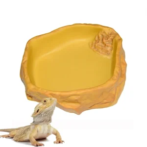 JT-04 Eco Friendly Resin X Large Amphibian Feeding Bowl Dish Terrarium Decor for Bearded Dragons Snakes Reptiles Food Water