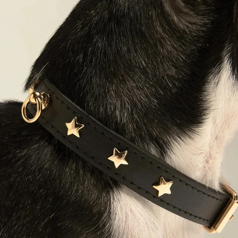 Jewelry Decorated Dog Belt Collar with Rivet Design Durable Adjustable Pet Collar for Stylish Canine Fashion and Safety