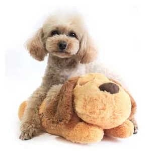 Kawaii Soft Plush Pet Dot Toys