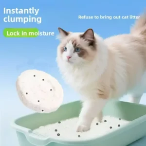 Kitten Cat Litter 5kg/10kg Pure Cassava Tofu Bentonite Blend Strong Deodorization Fast Clumping Nearly Dust Free Formula