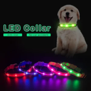 LED Light up Dog Collar Reflective Adjustable Dog Collar Pet Collar