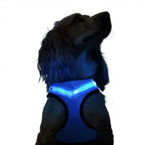 LED Light up Reflective Nylon Dog Harness USB Rechargeable Flashing Personalized Pet Night Safety Adjustable Dogs