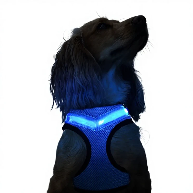 LED Light up Reflective Nylon Dog Harness USB Rechargeable Flashing Personalized Pet Night Safety Adjustable Dogs