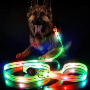 LED Waterproof Adjustable Pet Dog Leash USB Rechargeable Glow in the Dark Night Walk Safety for Medium Large Dogs