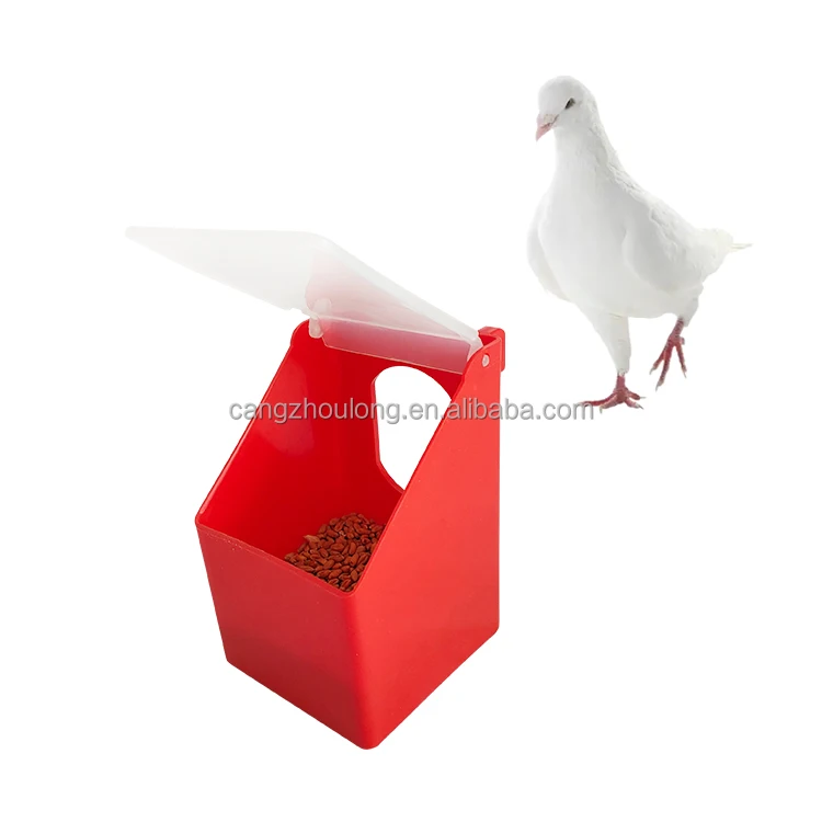 LMB06 Quail Bird Pet Pigeon Feeder Water Bowls One Hole Pigeon Food Feeder for Birds Cage