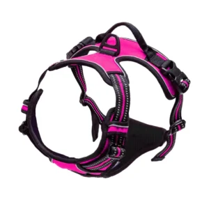 Large And Medium Sized Dog Training Special Outdoor Dog Walking Artifact Strong And Durable China Pet Supplies