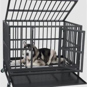 Large Dog Bird Parrot Crate 48 36 42 Inch Heavy Duty Stainless Steel Wood Indestructible Escape Proof Kennel Lockable