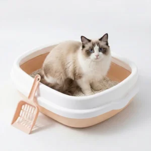 Large Durable Plastic Open Top Pet Cat Litter Box Anti Scatter with Litter Scoop for Indoor Cats Easy Cleaning