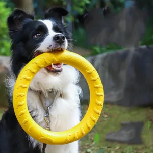 Large Eco Friendly EVA Pet Toy for Dogs Indestructible Rubber Border Collie Chew Training Ring Pull Rope for Ball Playing
