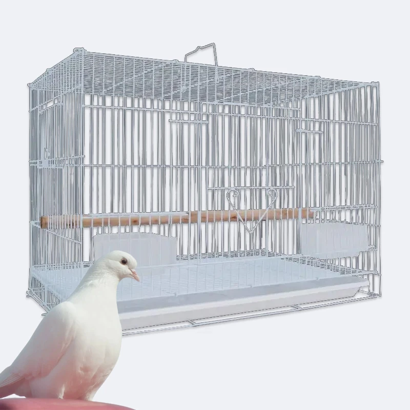Large Parrot Bird Cage Play Top Pet Metal Cockatiel Macaw Cockatoo Crate House Bird Supplies Use for Indoor