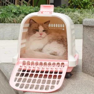Large Size Portable Pet Airline Travel Carrier with Ventilation Anti Slip Pad and Wheels for Cats and Dogs Pet Supplies