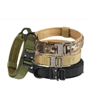 Large and Medium-Sized Dog Pet Collar for Outdoor Dog Walking