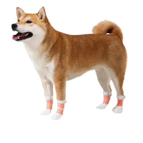 Large or Small Indoor Floors Walking Disposable Protector Anti-skid Dirt-proof Comfortable Cat Booties Dog Foot Covers Shoe Boot