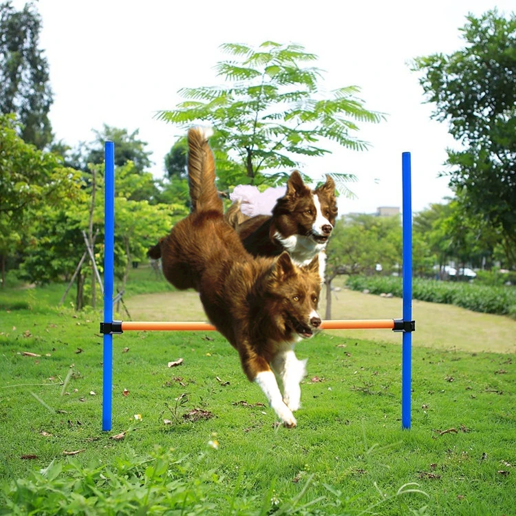 Latest Design Water Resistant Bite Resistant Pet Training Equipment Dog Agility Training Gear for Dog Running Jumping Training