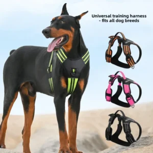 Latest Striped Design Polyester Pet Harness with Reflective Traction Strap Dog Supplies Customized