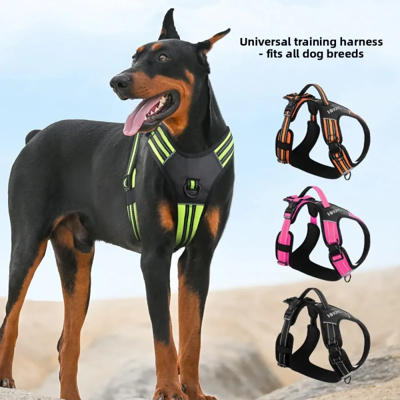 Latest Striped Design Polyester Pet Harness with Reflective Traction Strap Dog Supplies Customized
