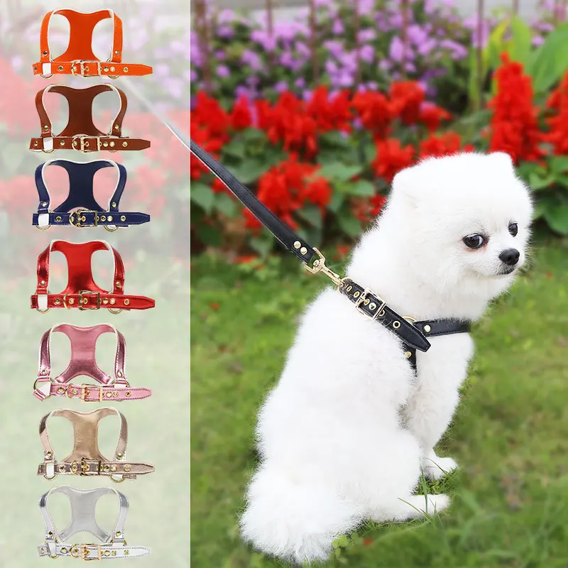 Leather Small Pet Harness Leash Set Out Walking Harness for Dogs and Cats