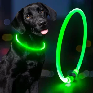 Light Orange Pink Luminous LED Dog Collar Smart Big Manufacturer Custom Pet Collar Reflective Silicone Waterproof Solid Pattern