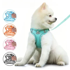 Lightweight Breathable Comfortable Reflective Summer Pet Harness Adjustable Eco Friendly for Cat Dog Small Animals Harness