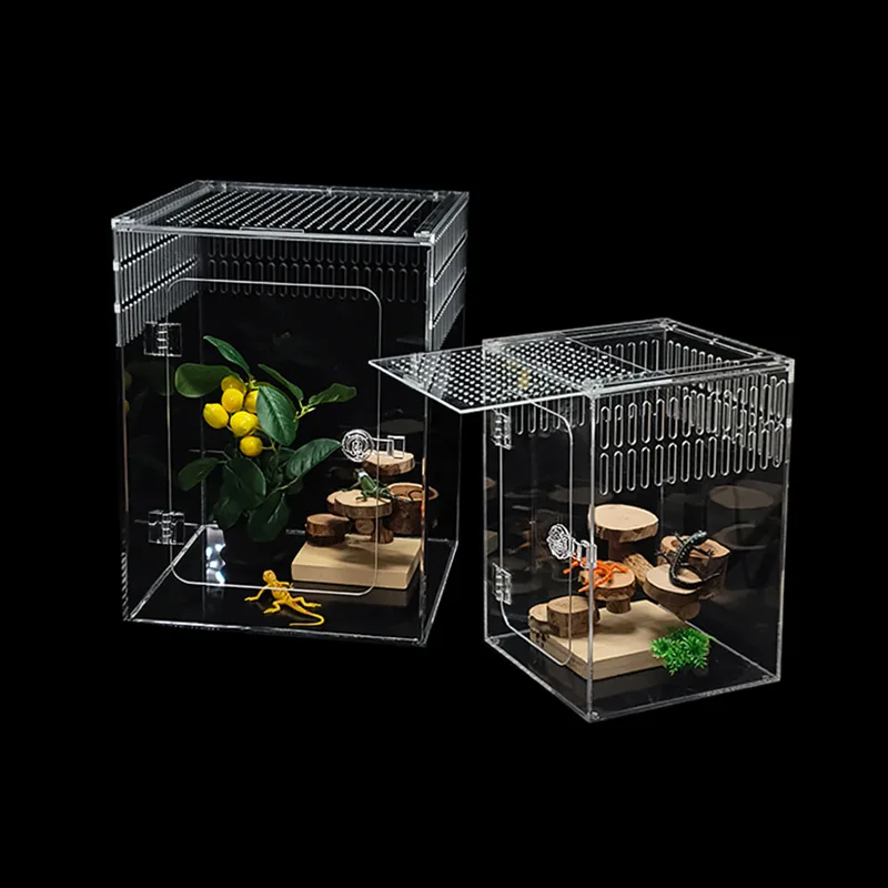 Lizard Acrylic Climbing Pet Box Full Transparent Vertical Version Palace Tree Frog Habitat Ciliary Reptile Amphibian Supplies