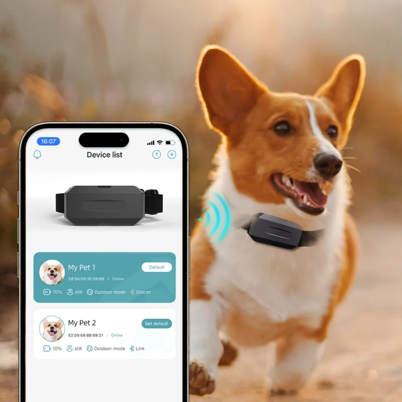 Locator Tracking Device Dog GPS Pet Tracker GPS Tracking for Real Time Tracking Pet