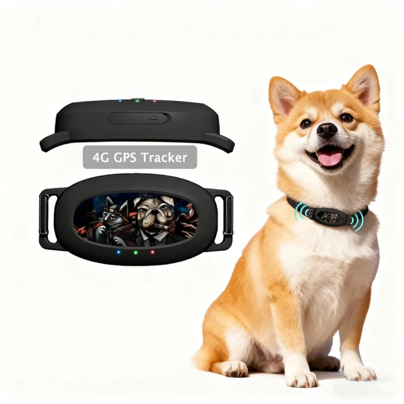 Long Battery Life Waterproof 5G 4G Pet GPS Tracker with Real-Time Tracking and No Distance Limit Smart Collar
