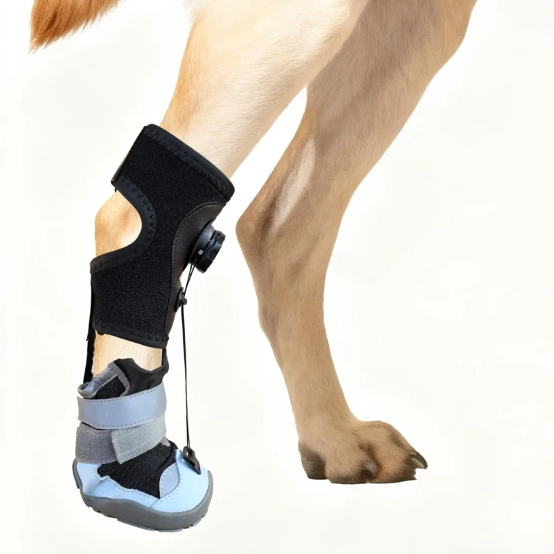 LovitWear New Rubber Eco friendly Winter Dog Boots Anti Dirty Wear Resistant Hard Sole Foot Protection Warm Customizable