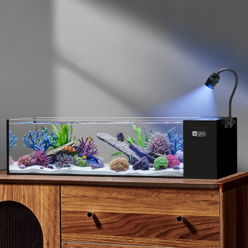 Low Iron Glass 20 Gallon Betta Fish Tank Ultra Clear Desktop Aquarium Tank With Aquarium Pump and LED