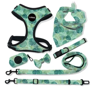 Low MOQ Pet Harness Sets with Padded Features Stocked Dog Harness and Leash Accessory Pet Accessories