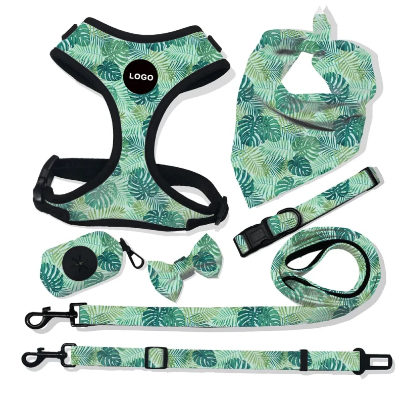 Low MOQ Pet Harness Sets with Padded Features Stocked Dog Harness and Leash Accessory Pet Accessories