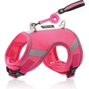 Low Price Cat and Puppy Harness Reflective Polyester Dog Vest Harness for Small Pets for Training