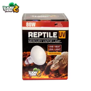Lucky Herp 80W 100W 125W 160W UVB Glass Reptile Light with UVB UVA Heat Bulb for Reptile Amphibian Supplies