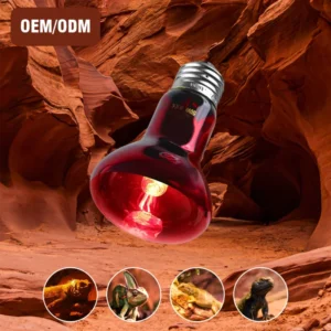 LuckyHerp 25W 50W 75W 100W Reptile Red Heating Basking Spot Lamp Amphibian Supplies