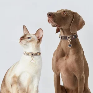 Luxurious Pet Collar and Leash Stylish Suitable for Daily Outings Adjustable Design