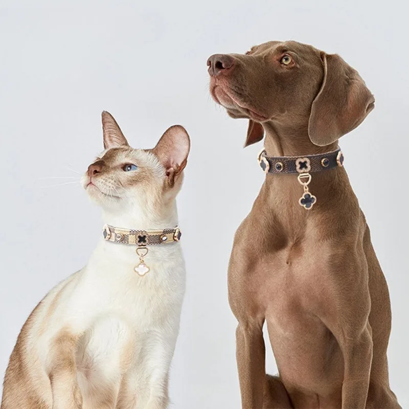 Luxurious Pet Collar and Leash Stylish Suitable for Daily Outings Adjustable Design