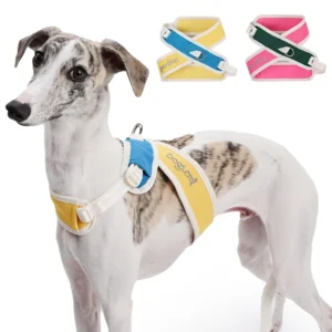 Luxury Adjustable Dog Harness Heavy Duty Polyester Mesh Fabric Small Pet X Harness Innovative X Design Fashionable Lovely for