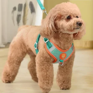 Luxury Adjustable No Pull Nylon Dog Harness Soft Padded Vest Style Pet Harness for Daily Walking of Pets