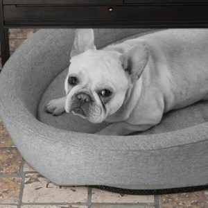 Luxury Breathable Pet Sofa Bed Small Animals’ Comfortable Sleeping Furniture Solid Pattern Dog Bed