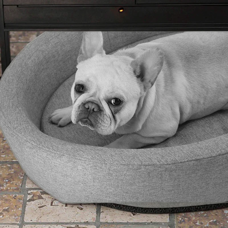 Luxury Breathable Pet Sofa Bed Small Animals' Comfortable Sleeping Furniture Solid Pattern Dog Bed