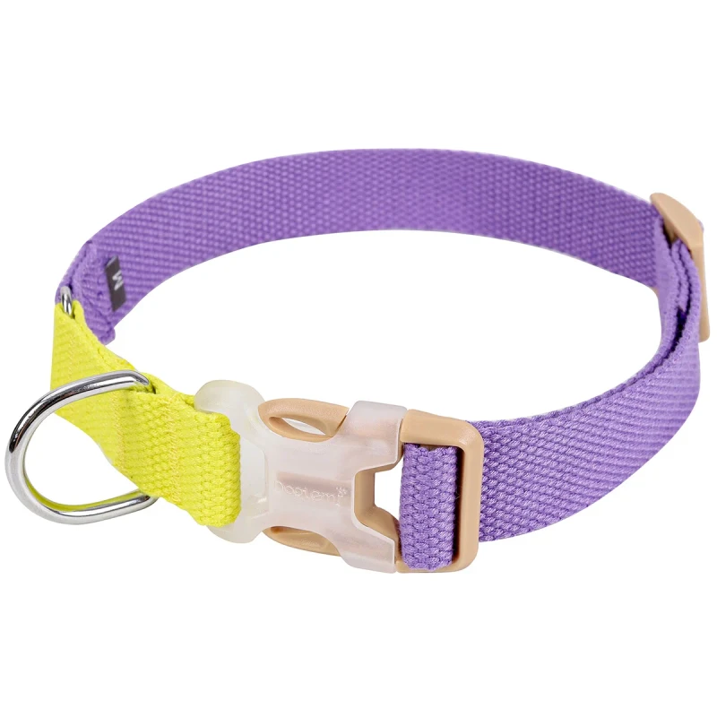Luxury Cotton Comfortable Personalized Fashion Pet Collars for Walking Small Breed Machine Wash
