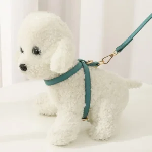 Luxury Custom Color Leather Dog Harness Set and Genuine Small Dog Collar Leash Set No Escape Harnesses 8 shaped Ring Strap Vest