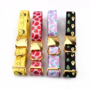 Luxury Custom Dog Collar with Gold Metal Buckle Tactical Classic Styles Designer's Sublimation Direct Manufacturer