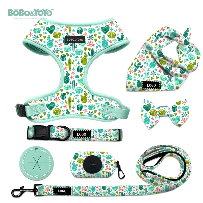 Luxury Custom Print Design Logo Personalized No Pull Neoprene Pet Cat Dog Harness Leash Lead Collar Set
