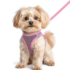 Luxury Design Print Dog Harness and Leash Waterproof Harness and Leash Set for Teddy