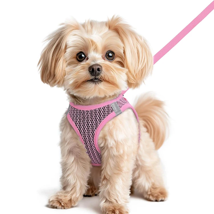 Luxury Design Print Dog Harness and Leash Waterproof Harness and Leash Set for Teddy